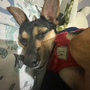 Meet your Posher, Fernanda